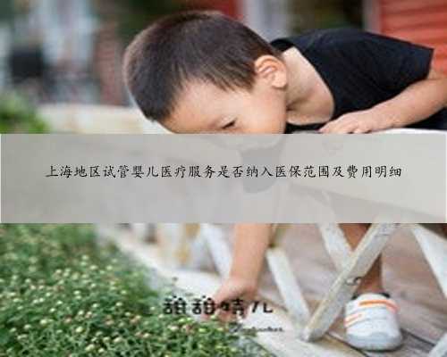 上海地区试管婴儿医疗服务是否纳入医保范围及费用明细